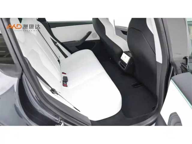 Tesla Model 3 — Фото автомобиля 8