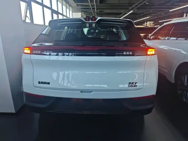 Dongfeng SKY EV01 — Фото автомобиля 5