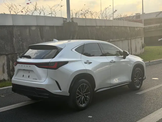 Lexus NX — Фото автомобиля 14