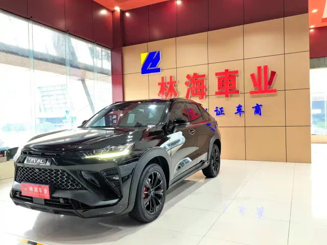 Haval H6S — Фото автомобиля 2