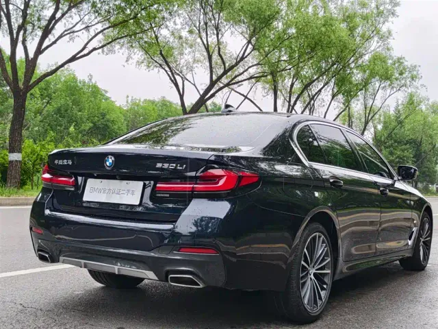 BMW 5 Series — Фото автомобиля 12