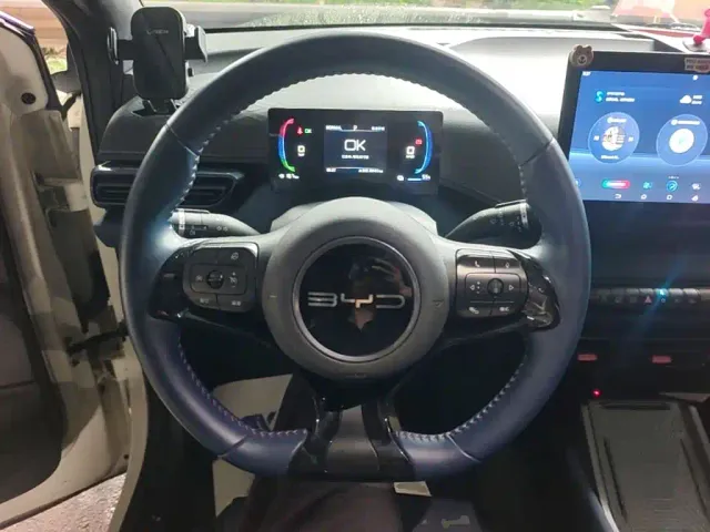 BYD Seagull 2024 Glory Edition 305km Freedom Edition — Фото автомобиля 10