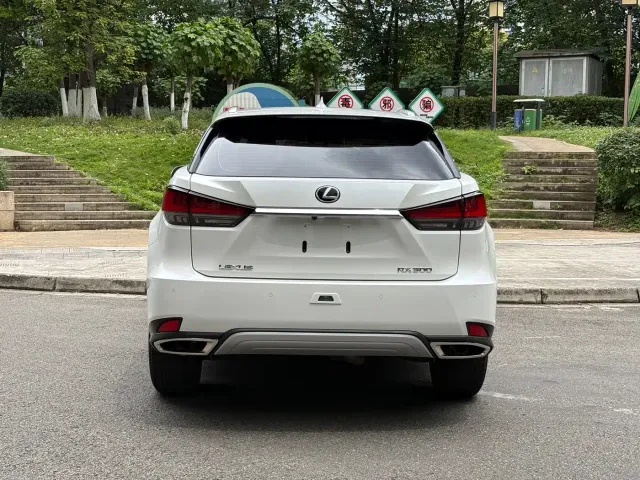 Lexus RX — Фото автомобиля 17