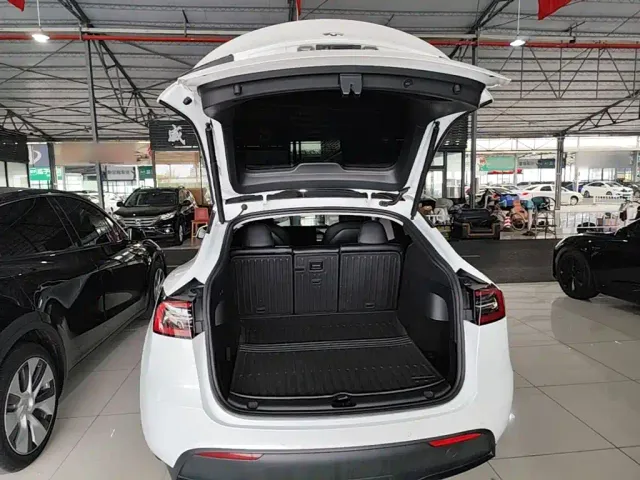 Tesla Model Y — Фото автомобиля 18
