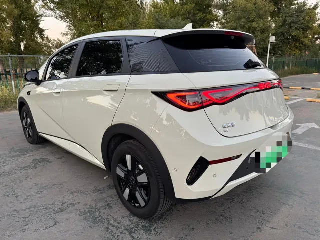 BYD Dolphin — Фото автомобиля 12
