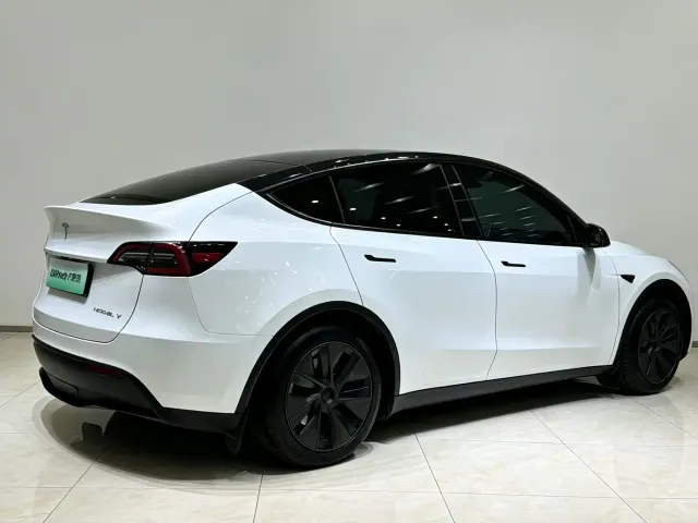 Tesla Model Y — Фото автомобиля 19
