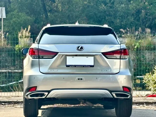 Lexus RX — Фото автомобиля 19