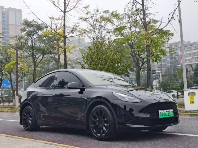 Tesla Model Y — Фото автомобиля 3