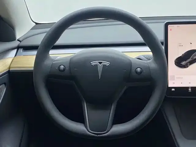 Tesla Model 3 — Фото автомобиля 11