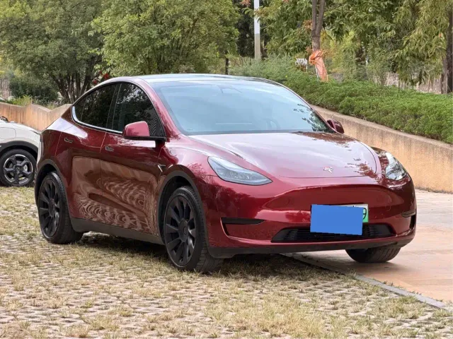 Tesla Model Y — Фото автомобиля 2