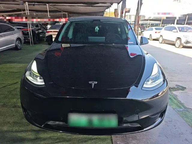 Tesla Model Y — Фото автомобиля 2