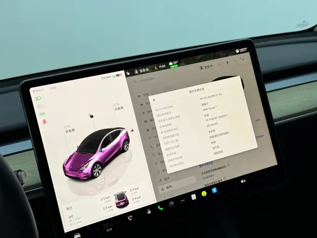 Tesla Model Y — Фото автомобиля 10
