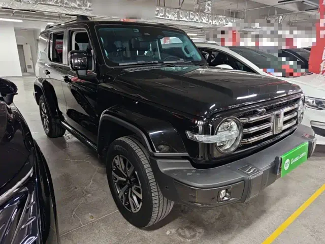 Tank Tank 300 2021 Urban Edition 2.0T Stylish — Фото автомобиля 3