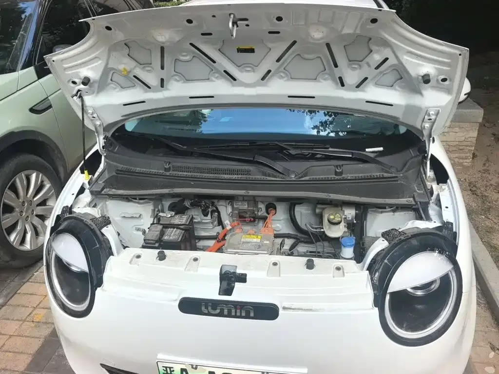 Changan Qiyuan Changan Lumin 2025 205km Fragrant Infusion Edition — Фото автомобиля 16