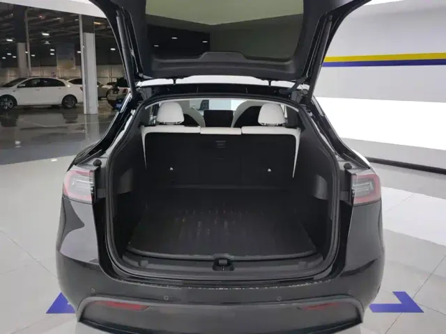 Tesla Model Y — Фото автомобиля 4