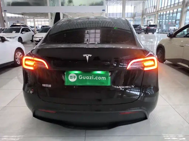 Tesla Model Y — Фото автомобиля 5