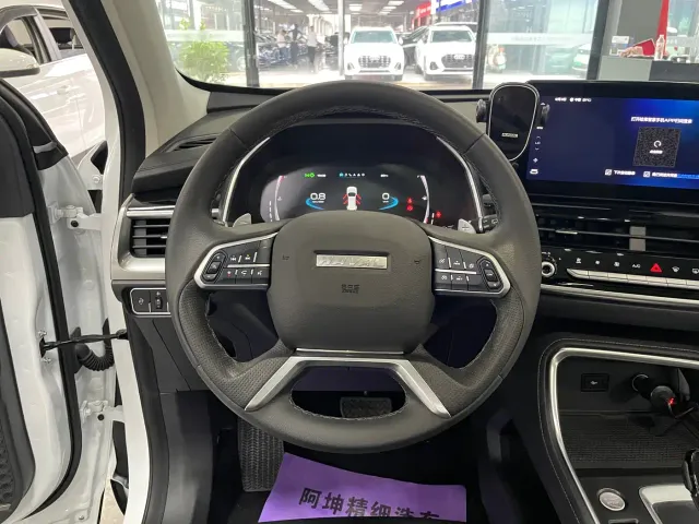 Haval H6 — Фото автомобиля 9