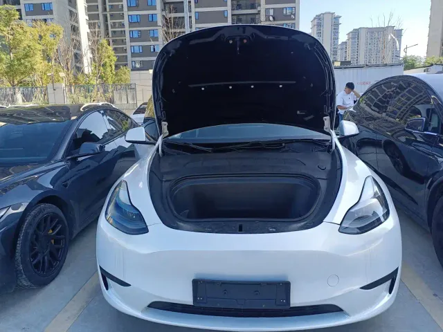 Tesla Model Y — Фото автомобиля 29