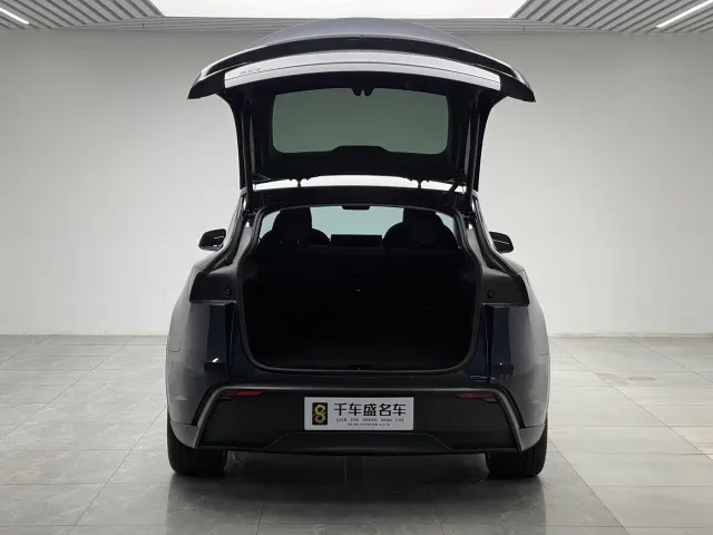 Tesla Model Y — Фото автомобиля 10