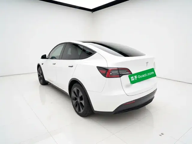 Tesla Model Y — Фото автомобиля 4