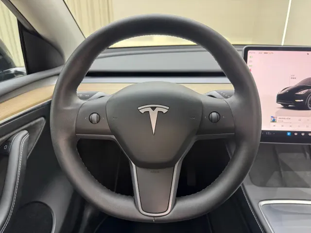 Tesla Model Y — Фото автомобиля 21