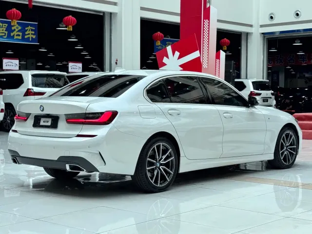 BMW 3 Series — Фото автомобиля 20
