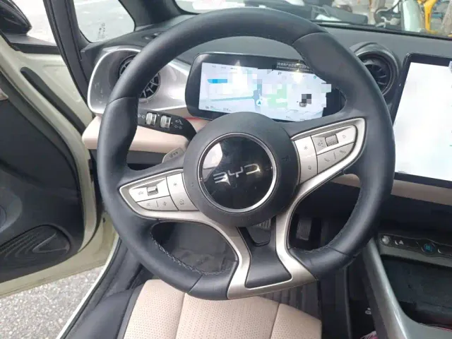 BYD Dolphin — Фото автомобиля 11