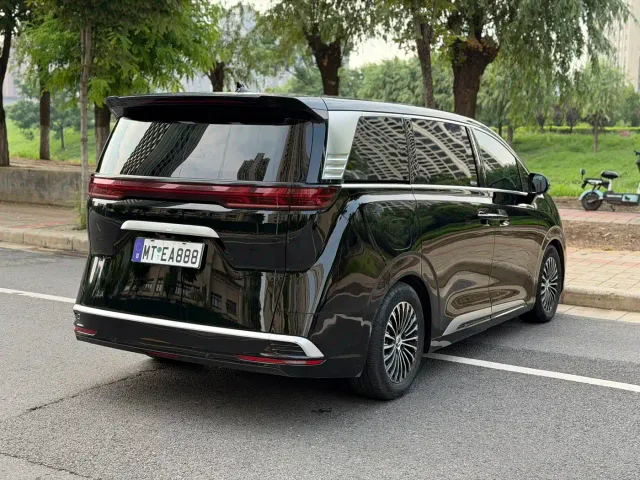 Denza D9 — Фото автомобиля 8