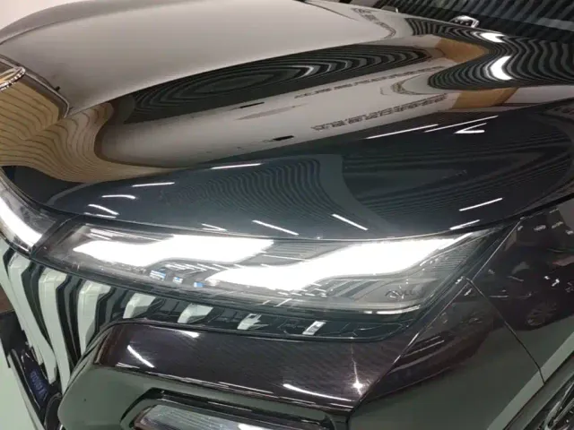 Dongfeng Haoji — Фото автомобиля 23