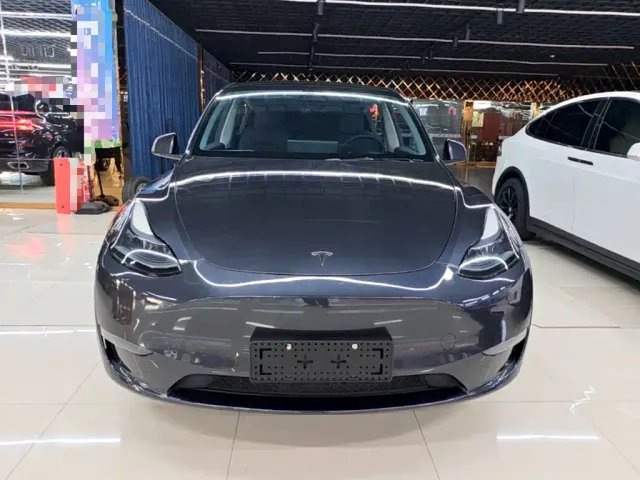 Tesla Model Y — Фото автомобиля 2