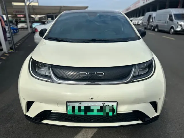 BYD Dolphin — Фото автомобиля 2