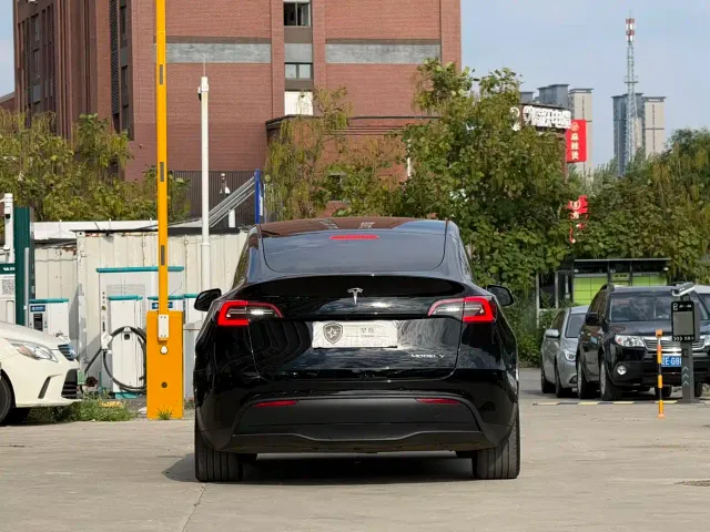 Tesla Model Y — Фото автомобиля 5