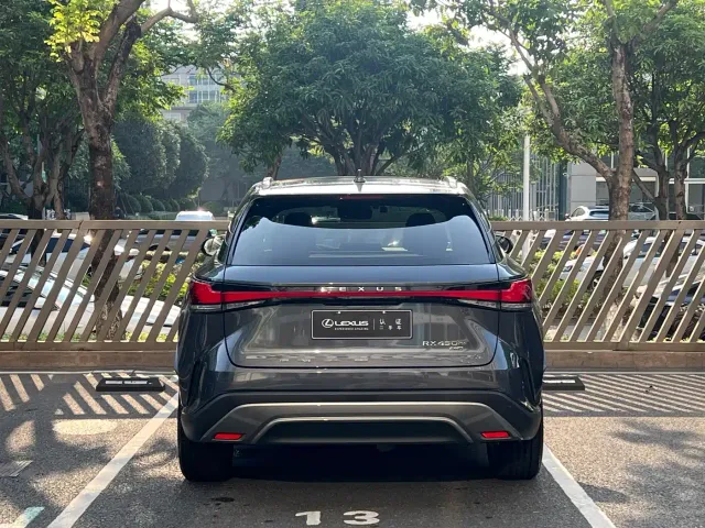 Lexus RX — Фото автомобиля 10