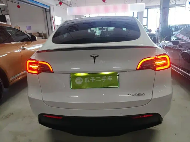 Tesla Model Y — Фото автомобиля 5