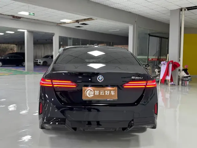BMW 5 Series — Фото автомобиля 8