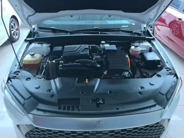 BYD Qin PLUS — Фото автомобиля 19
