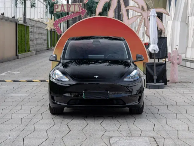 Tesla Model Y — Фото автомобиля 3