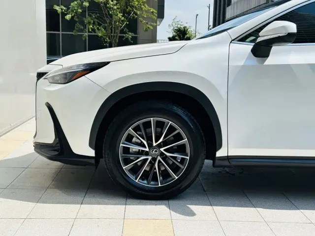 Lexus NX — Фото автомобиля 20