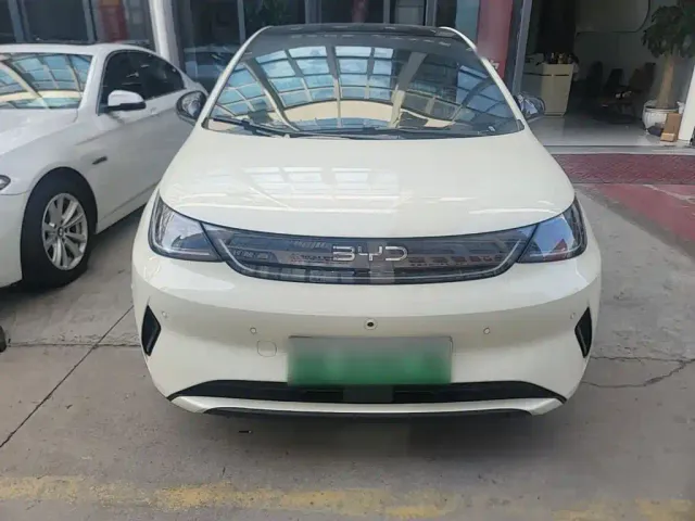 BYD Dolphin 2025 Smart Drive Edition 410km Fashion Version — Фото автомобиля 2