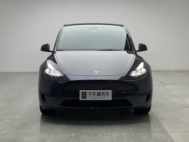 Tesla Model Y — Фото автомобиля 2