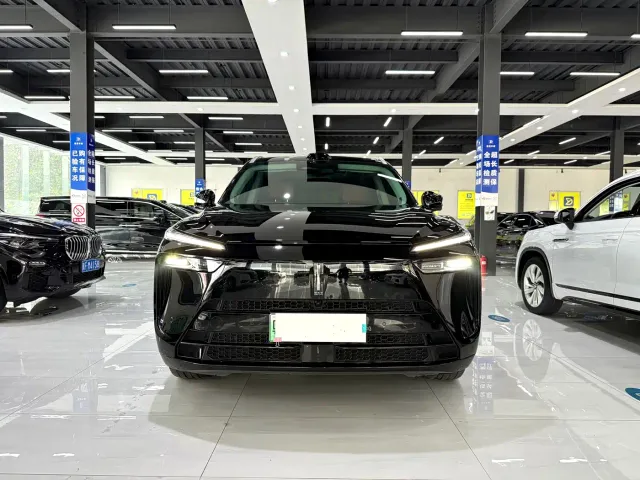 Wey Lanshan — Фото автомобиля 2