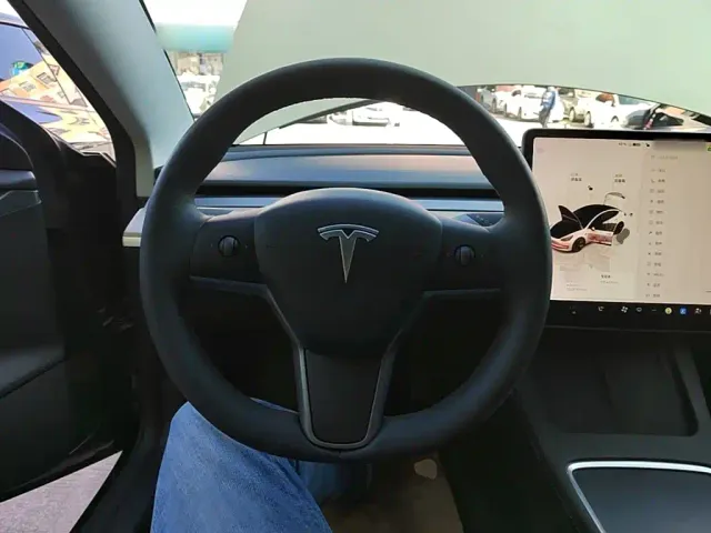 Tesla Model 3 — Фото автомобиля 10