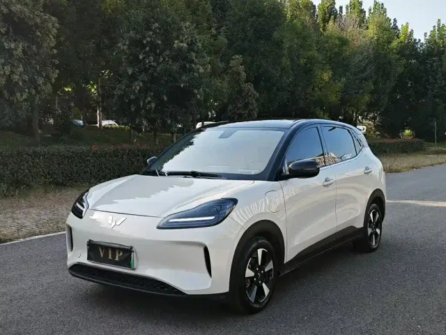 Фотография автомобиля — Wuling Binguo PLUS