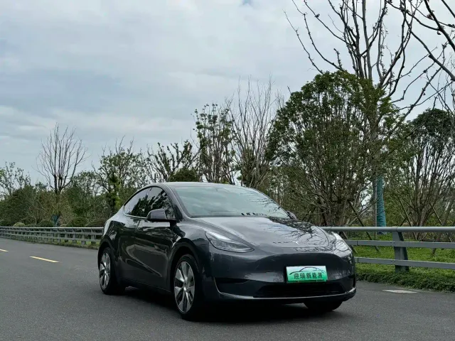 Tesla Model Y — Фото автомобиля 3