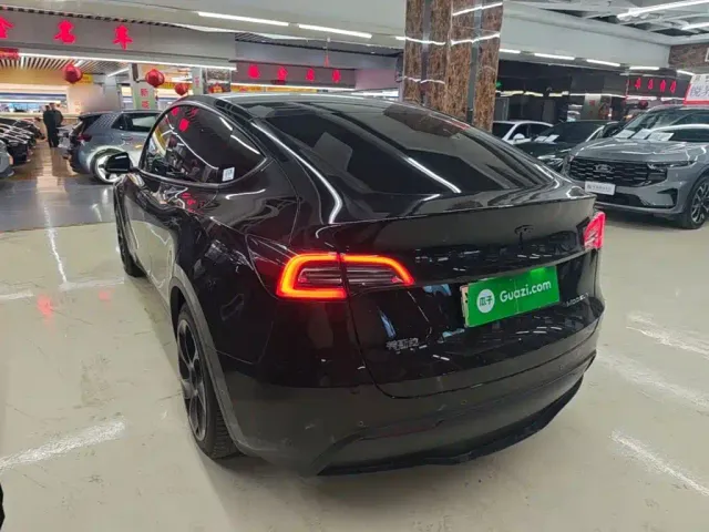 Tesla Model Y — Фото автомобиля 4