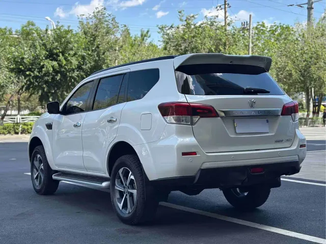 Dongfeng Fengdu Paladin — Фото автомобиля 12