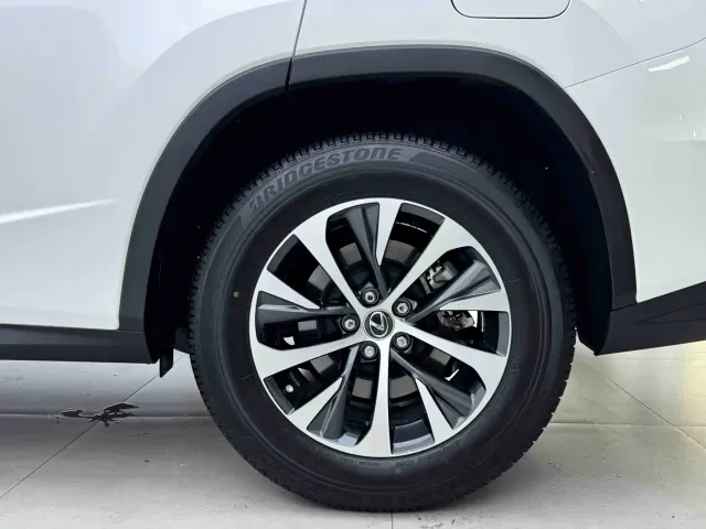 Lexus RX — Фото автомобиля 18