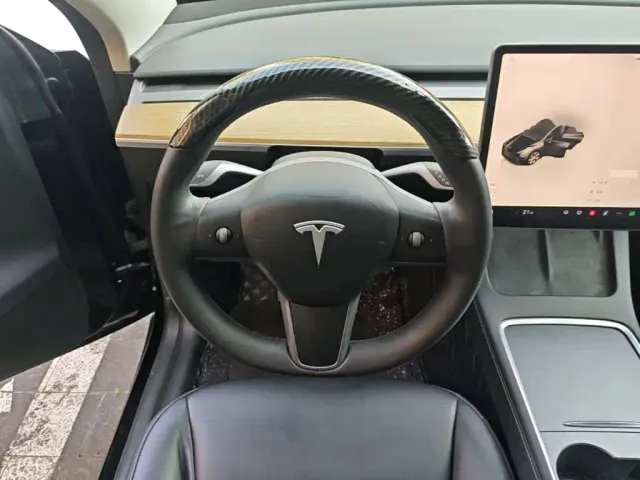 Tesla Model Y — Фото автомобиля 10