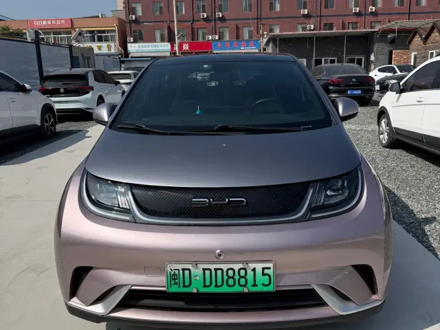BYD Dolphin — Фото автомобиля 2