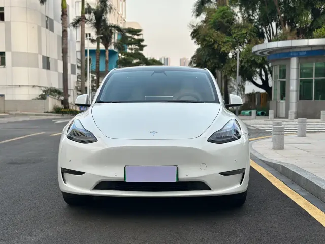 Tesla Model Y — Фото автомобиля 2